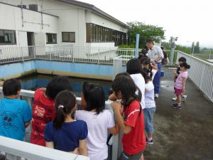 大郷小学校の皆さんがろ過池説明を受けている写真です