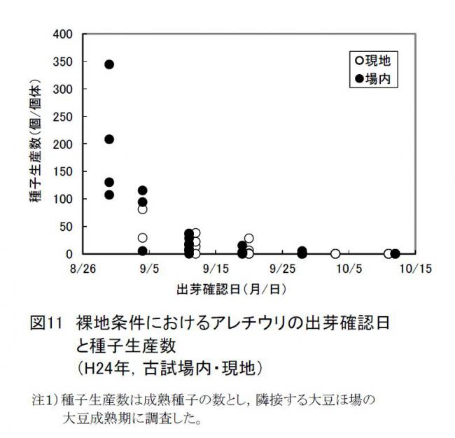 図11裸地条件におけるアレチウリの出芽確認日と種子生産数