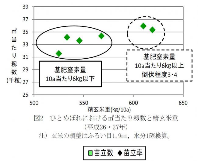 ひとめぼれにおける平米当たり籾数と精玄米重の関係図