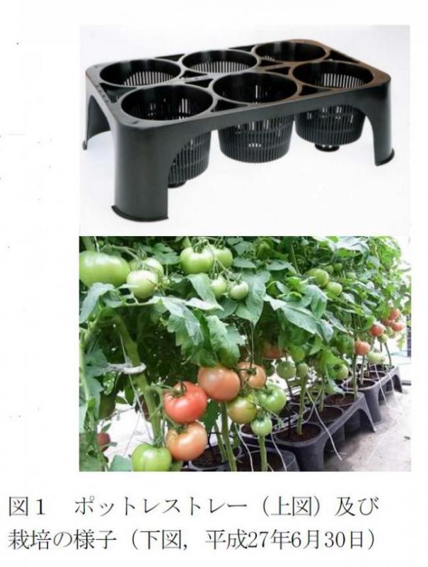 上図,ポットレストレーの写真,下図トマト栽培の様子の写真