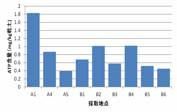 海水流入土壌のATP含量グラフ