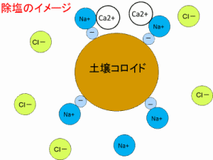 除塩のイメージ