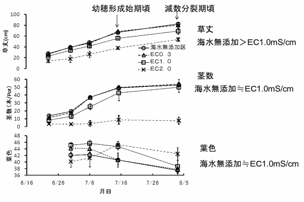 土壌ECの違いと水稲草丈,茎数および葉色の関係グラフ