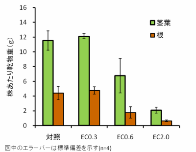 塩害土壌がイチゴの地上部乾物重に及ぼす影響（砂質土）グラフ