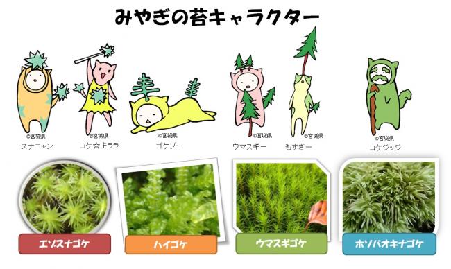 みやぎの苔キャラクター