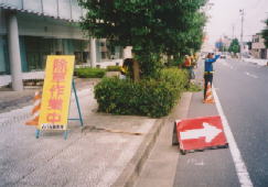 植樹の剪定作業状況写真です