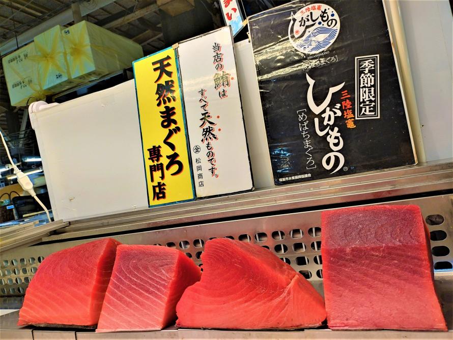 maguro