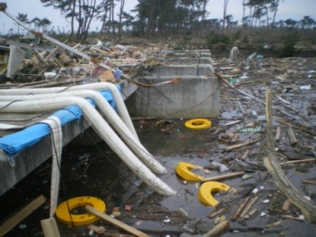 二郷堀排水機場周辺の写真2