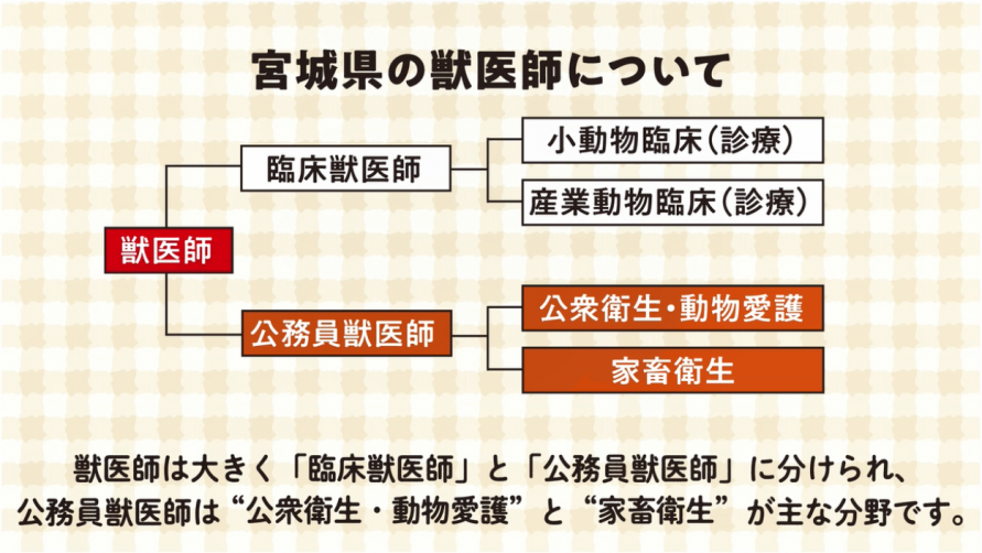 宮城県の獣医師について