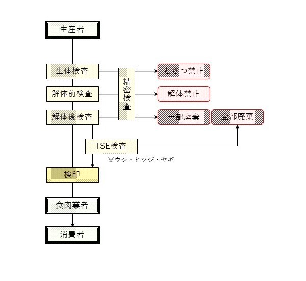 と畜検査フロー