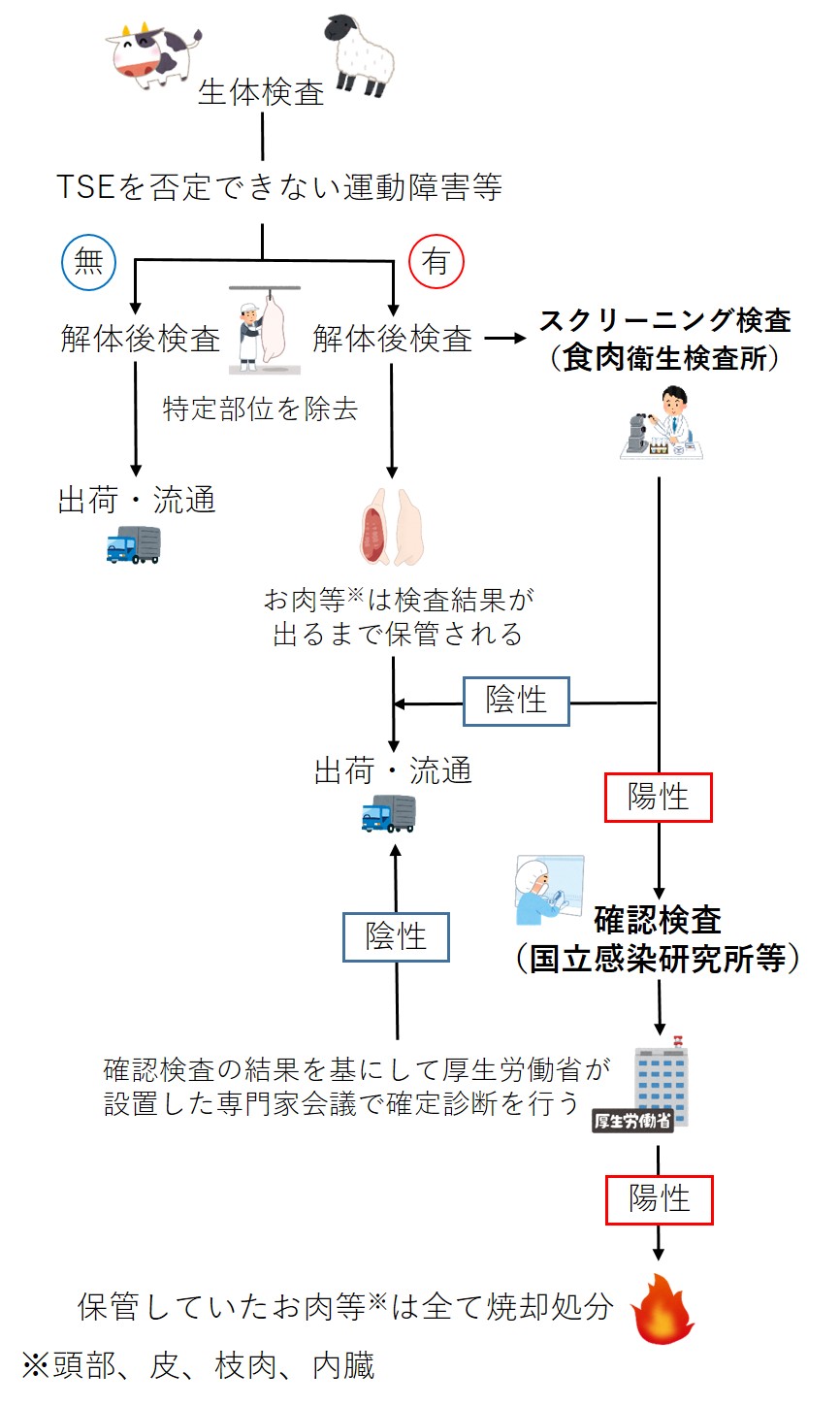 TSE-flowchart