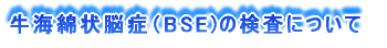 BSEの検査について