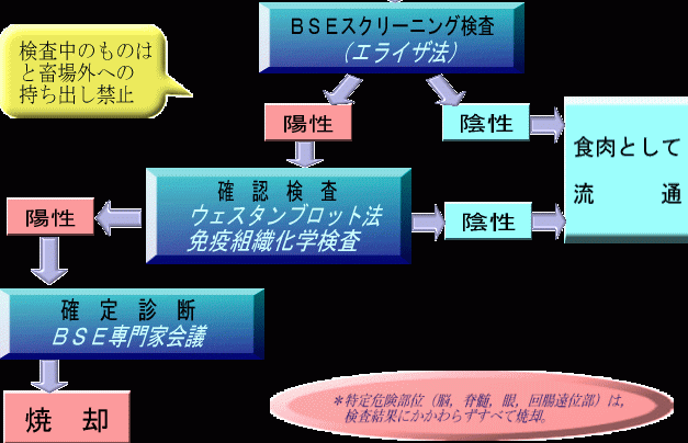 BSE検査フロー図