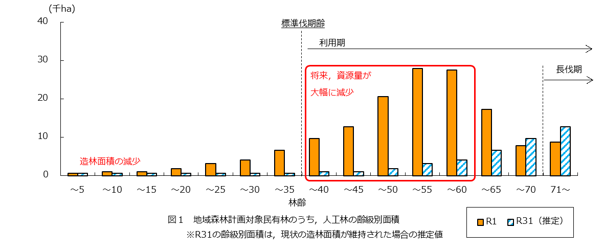 図1　地域森林計画対象民有林のうち,人工林の齢級別面積