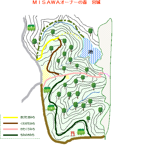 ミサワの森の図