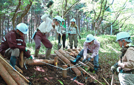 遊歩道作成状況2