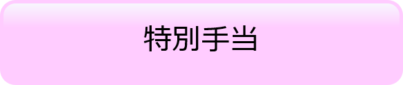 特別手当