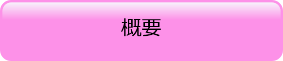 概要