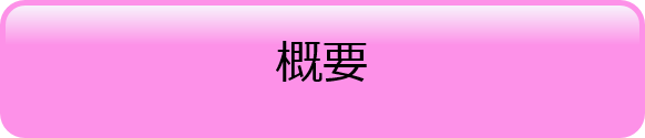 概要