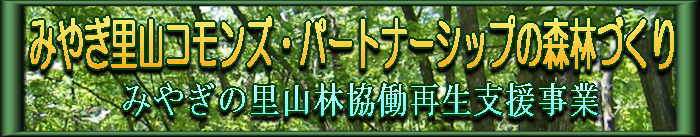 みやぎの里山林協働再生支援事業