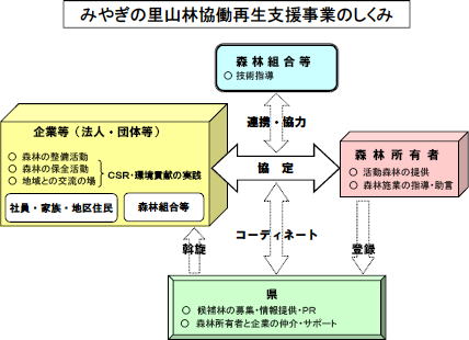 みやぎの里山林協働再生支援事業のしくみ