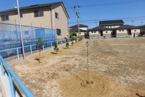 仮設住宅跡地の公園への植樹