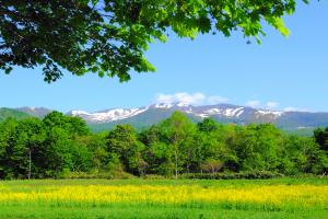 春の栗駒山