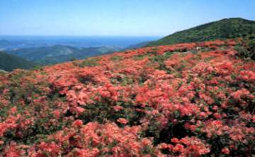 徳仙丈山（画像）