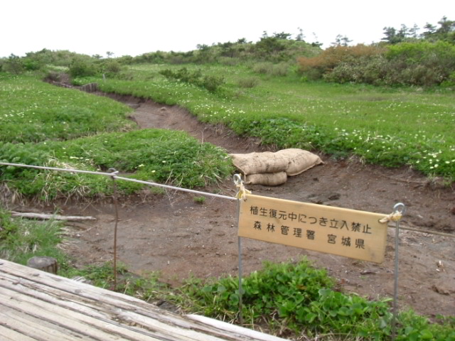 蔵王芝草平の規制ロープの写真