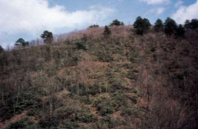 御嶽山（みたけやま）西斜面（画像）