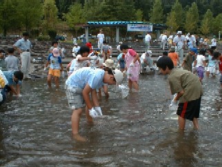 子供たちが魚つかみどりをしている写真です