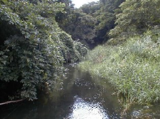 川の景色写真です