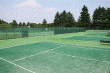 テニスコート写真