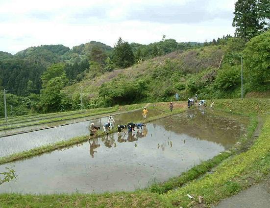 棚田の田植え風景（丸森町）