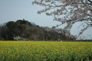 古浦地区の写真です。