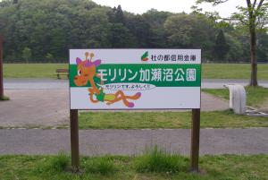 公園内案内看板