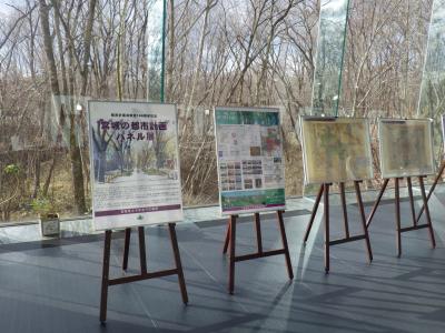 宮城県図書館での展示の様子1