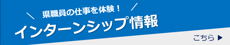 インターンシップ情報はこちら