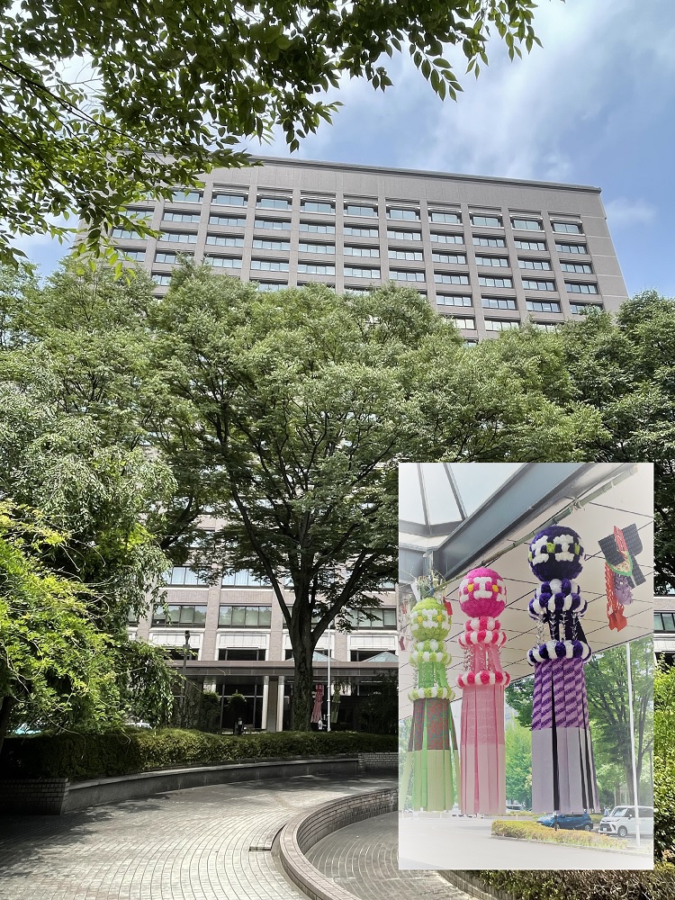 県庁舎夏