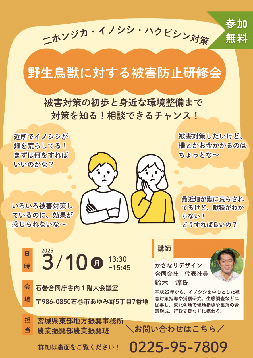 チラシ