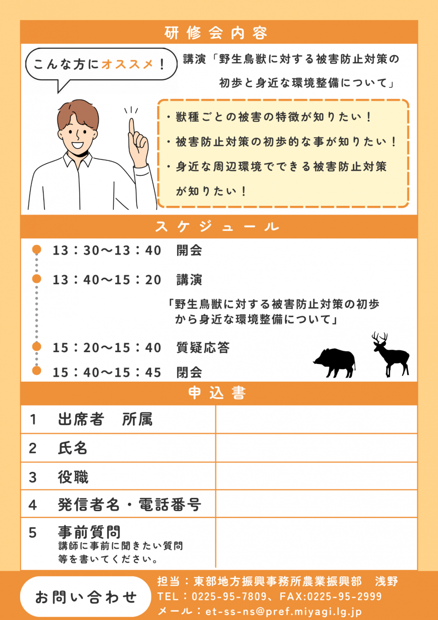 チラシ