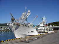 女川漁港に停泊する船舶の写真