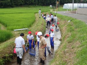 生き物学習