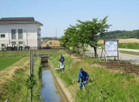 水路の草刈りの様子