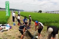 生物の生息状況調査を行う様子