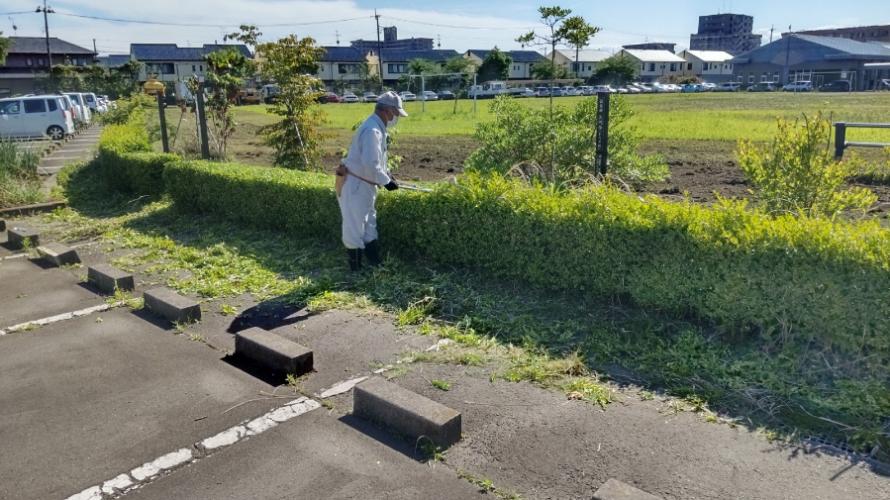 垣根剪定作業