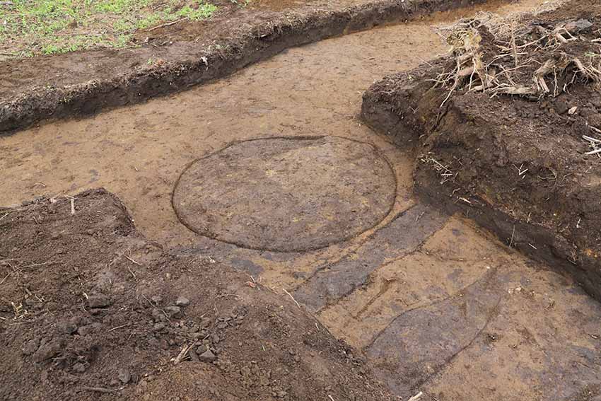 遺構の検出状況