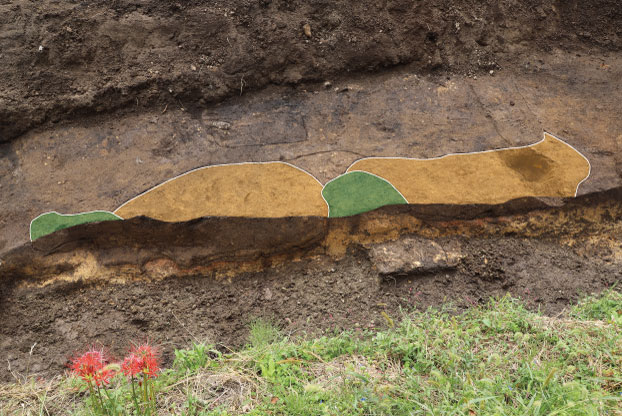 写真2遺構確認状況