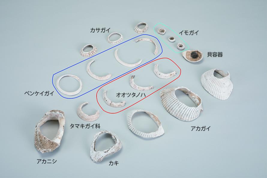 写真5貝輪など