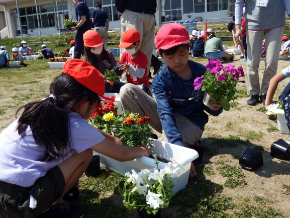 植える花苗は生徒が自分で選びました